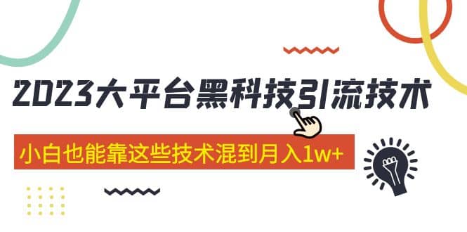 价值4899的2023大平台黑科技引流技术 29节课