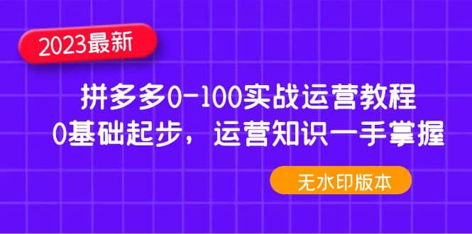 2023拼多多0-100实战运营教程，0基础起步，运营知识一手掌握（无水印）