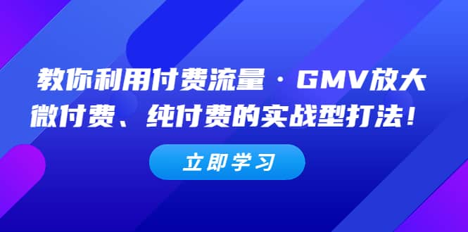 教你利用付费流量·GMV放大，微付费、纯付费的实战型打法