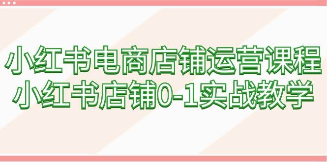 小红书电商店铺运营课程，小红书店铺0-1实战教学（60节课）